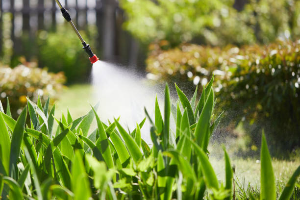 24/7 Emergency Ant Control experts in Montara, CA